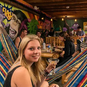 Purple Monkey Albergue